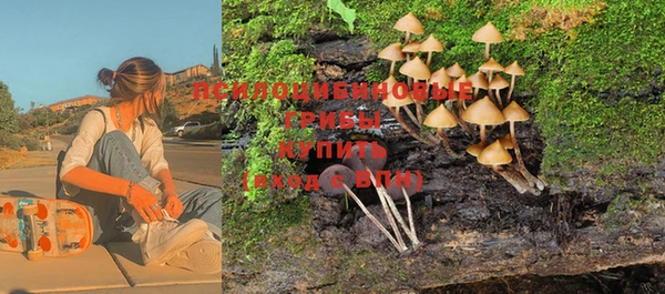 мяу мяу мука Алексеевка