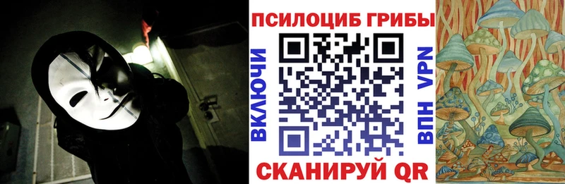 Псилоцибиновые грибы Psilocybine cubensis  где можно купить наркотик  Калининск 